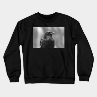 raven Crewneck Sweatshirt